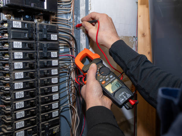 Best Electrician for Home Renovation  in Hillsdale, MI