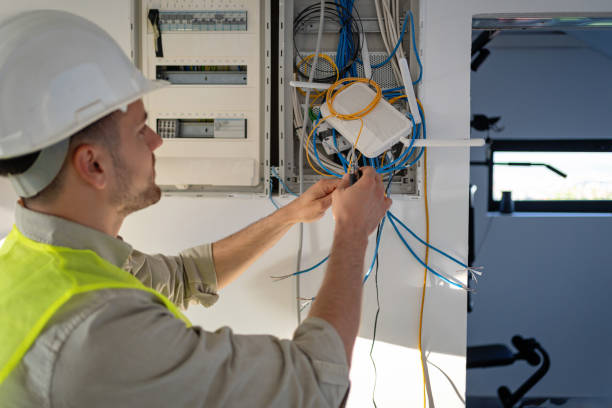 Best Ceiling Fan Installation Electrician  in Hillsdale, MI